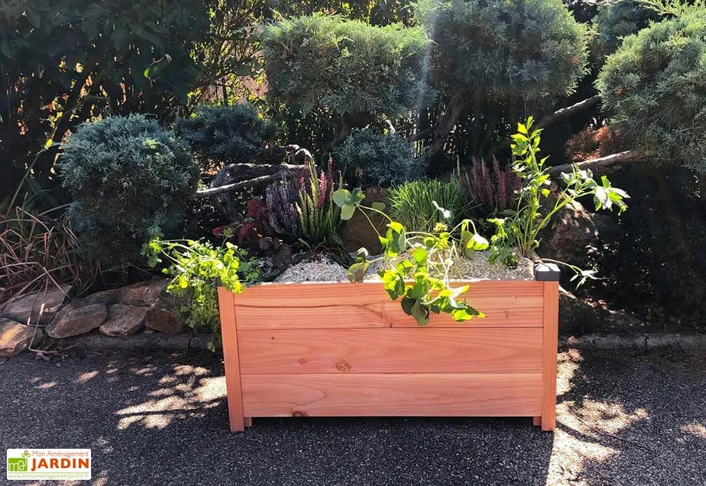 Jardinière Rectangulaire En Bois Douglas Non Traité - Premium 4 Jardinière Rectangulaire En Bois Douglas Non Traité - Premium – Image 2