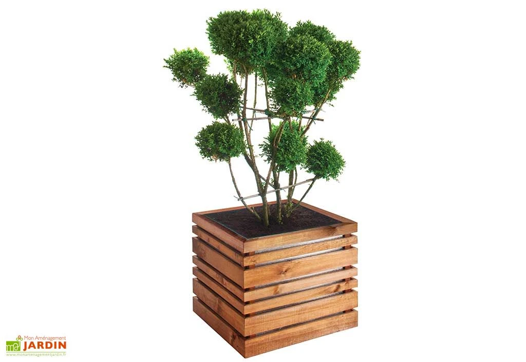 Bac à Fleurs En Bois Lign Z 60 (60x60x50cm) 3 Bac à Fleurs En Bois Lign Z 60 (60x60x50cm)