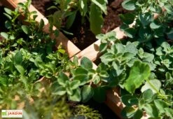 Carré Potager En Bois Autoclave Sur Pieds 80 X 80 Cm H. 88 Cm - Rezekne -Garantia Soldes bac potager bois sureleve ekju 253394