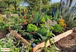 Carré Potager En Bois Douglas Non Traité Premium – 174 L