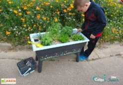 Jardinière Enfant Calipso Mini Junior + Panier Et Acc. – Bleu Pastel -Garantia Soldes jardiniere enfant calipso 40l panier kajo 4l bleu pastel 2