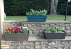 Jardinière Calipso Maxi Basic 40L + Pieds Amovibles – Taupe -Garantia Soldes jardiniere polypropylene 40l pieds amovibles calipso maxi basic taupe 3