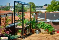 Mini Serre De Jardin En Verre Trempé – Juliana City 10 Mini Serre De Jardin En Verre Trempé – Juliana City -Garantia Soldes mini serre jardin verre trempe aluminium juliana city