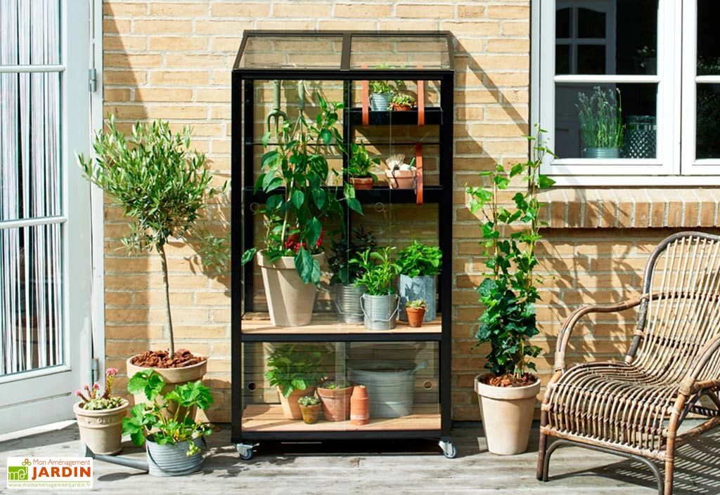 Mini Serre De Jardin En Verre Trempé – Juliana City 4 Mini Serre De Jardin En Verre Trempé – Juliana City – Image 2