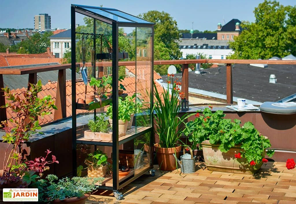 Mini Serre De Jardin En Verre Trempé – Juliana City 5 Mini Serre De Jardin En Verre Trempé – Juliana City – Image 3