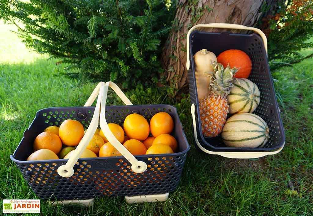 Paniers De Récolte Kajo 15L - 48 X 29 X 20 Cm (lot De 2) 6 Paniers De Récolte Kajo 15L - 48 X 29 X 20 Cm (lot De 2) – Image 4