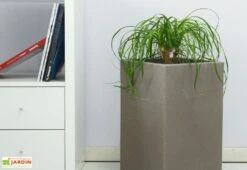 Pot De Fleurs En Polyéthylène Atlantis – 30 X 30 X 47 Cm -Garantia Soldes pot de fleurs gris 6