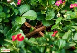 Carré Potager Sur Pieds En Bois Autoclave Brun - 75 X 75 X 79 Cm -Garantia Soldes potager bois surelever 1