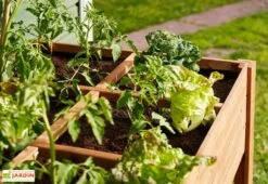 Carré Potager En Bois Autoclave Sur Pieds 120 X 80 Cm H. 88 Cm - Ventspils -Garantia Soldes separateur bac potager bois ekju 253478