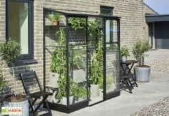 Halls Serre De Jardin Adossée En Verre Trempé Qube Lean-to 26 – 1,2 M²