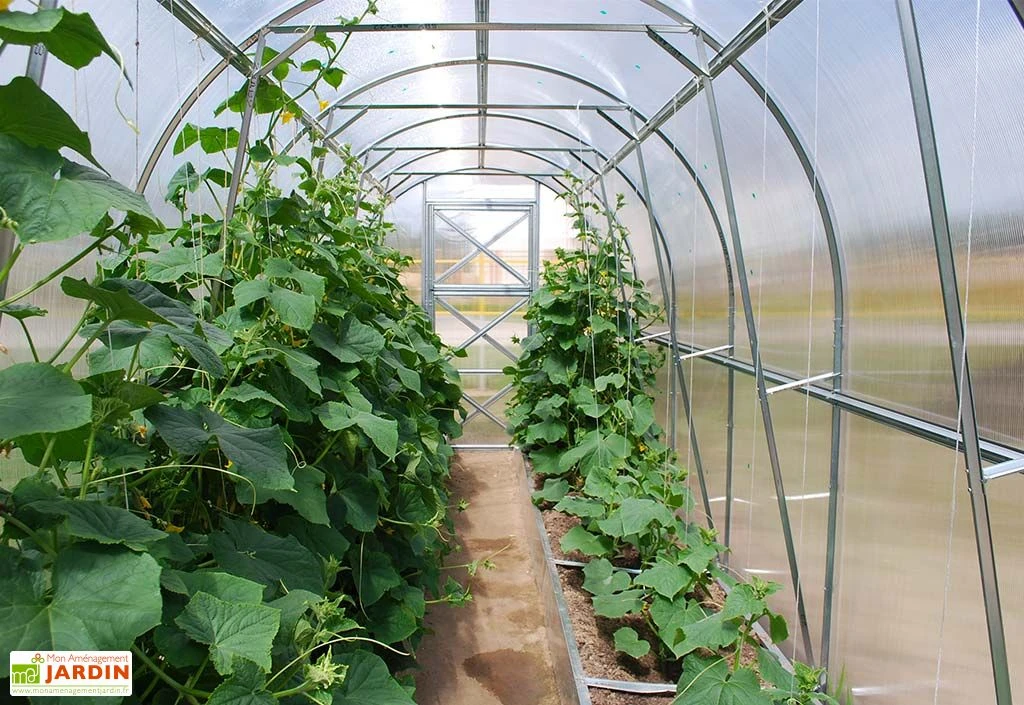 Serre De Jardin Tunnel En Polycarbonate Et Acier 6 Serre De Jardin Tunnel En Polycarbonate Et Acier – Image 4
