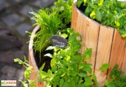 Spirale Aromatique – Jardinière En Bois De Mélèze Ø55 Cm -Garantia Soldes spirale aromatique jardiniere bois 55cm