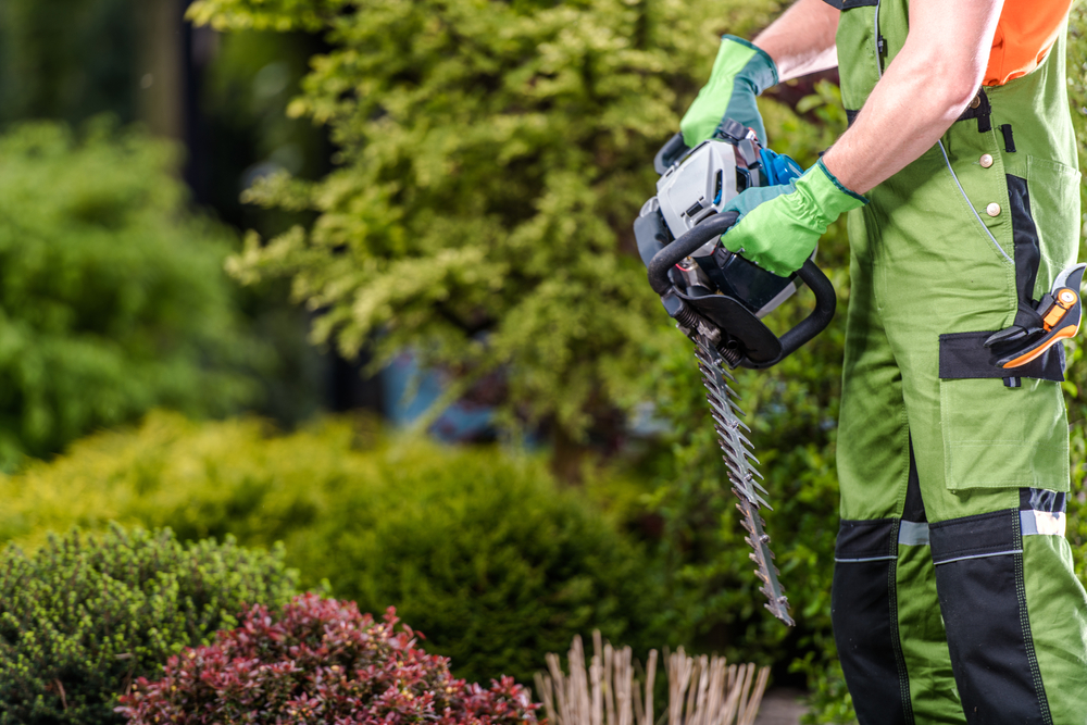 Garantia Soldes 2 Garantia Soldes -Garantia Soldes prestations dentretien des espaces verts a un jardinier